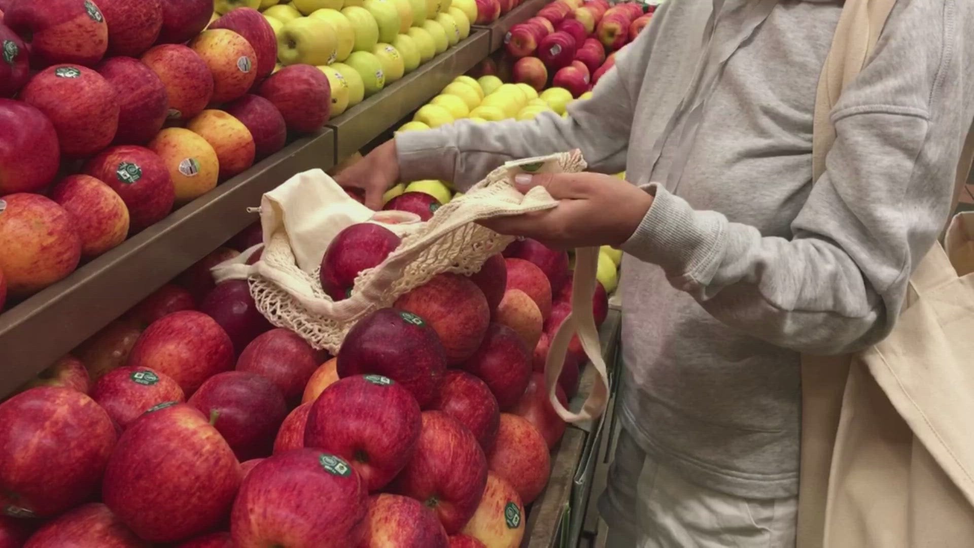 mesh fruit shopping bags