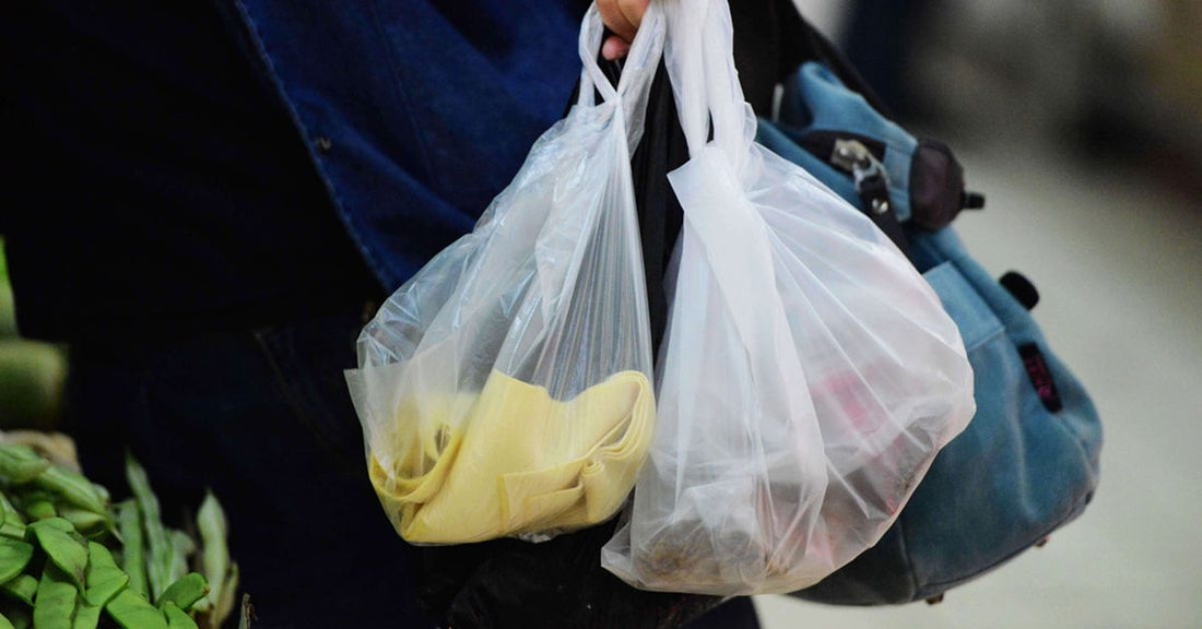 How and Where to Recycle Plastic Bags?