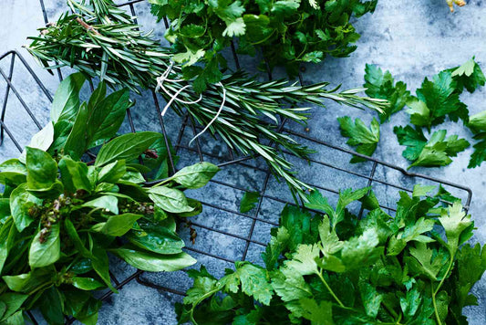 how to store herbs
