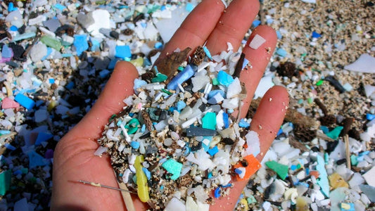 What Are Microplastics? 7 Ways You Can Stop Them From Polluting The World