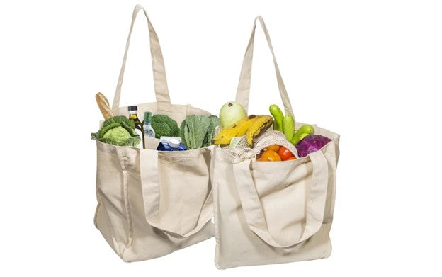 pros and cons of canvas grocery bags