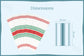 Striped Kitchen Towels